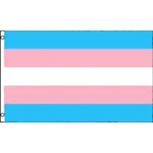 Trans* Transgender Flagge - 90 x 150 cm