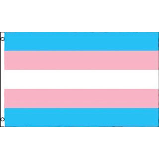 Trans* Transgender Flagge - 90 x 150 cm